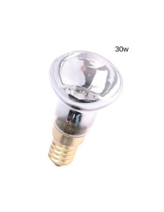 Lampadina 30W