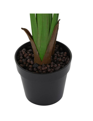 Pianta Strelitzia 60x60cm h.180cm
