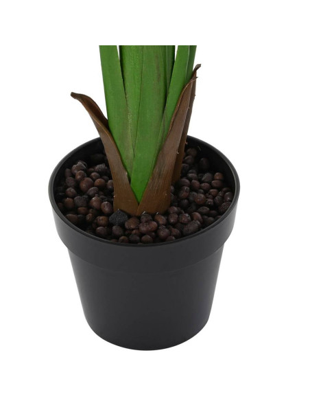 Pianta Strelitzia 60x60cm h.180cm