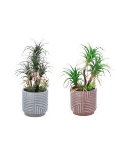 Piantina in vaso deco diam.13cm h.42cm