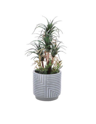 Piantina in vaso deco diam.13cm h.42cm