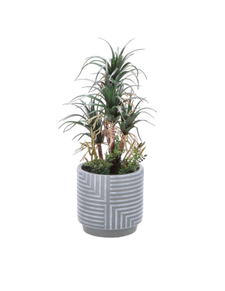 Piantina in vaso deco diam.13cm h.42cm