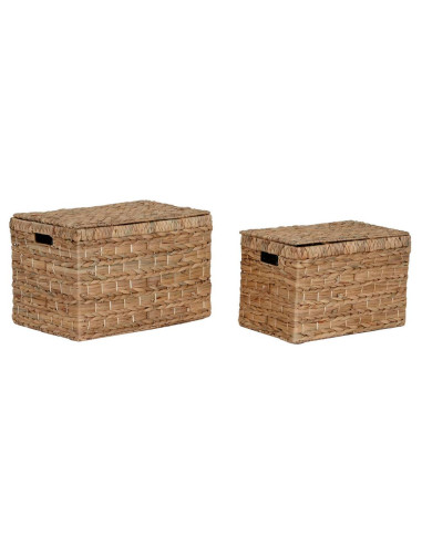 Set 2 scatole in giacinto d'acqua metallo...