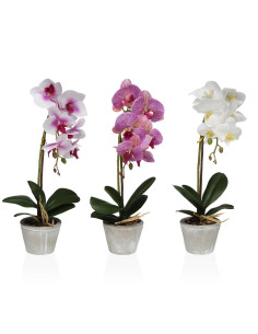 Orchidea Artificiale in Vaso 30cm - Disponibile in 3...