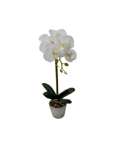 Orchidea Artificiale in Vaso 30cm - Disponibile in 3... 2