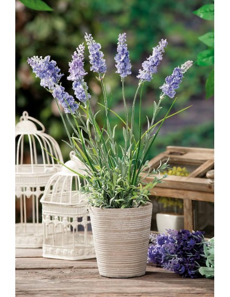 Vaso ceramica con Lavanda