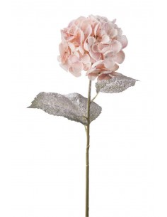 Ortensia innevata Rosa h.84cm