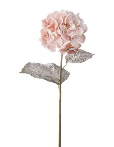 Ortensia innevata Rosa h.84cm