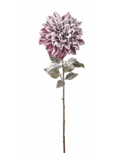 Dalia Innevata Fucsia 73cm