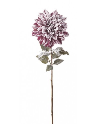 Dalia Innevata Fucsia 73cm
