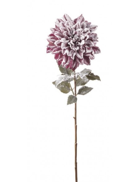 Dalia Innevata Fucsia 73cm