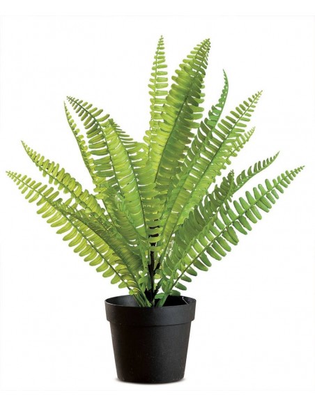 Vaso con Felce diam.35cm h.38cm