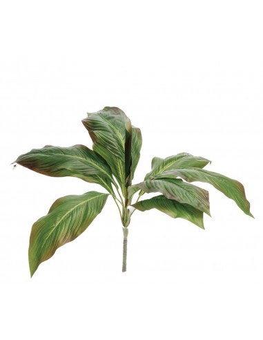Ramoscello Spatifillo 70cm