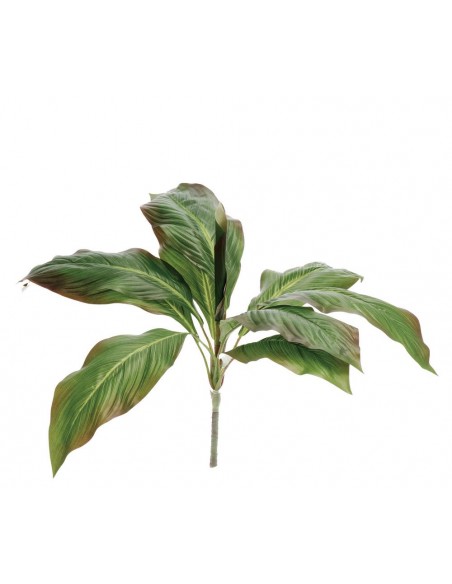 Ramoscello Spatifillo 70cm